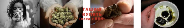 сатива Вязьма
