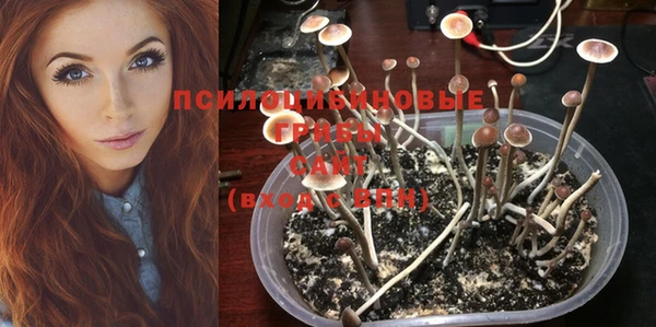 мескалин Вязники
