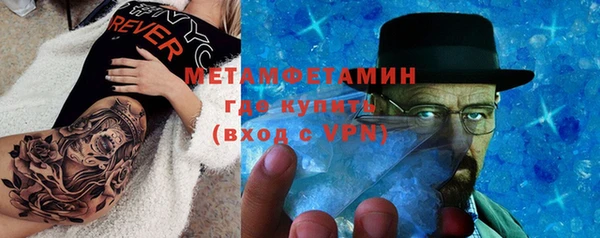 сатива Вязьма