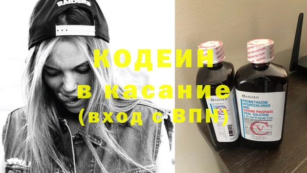 сатива Вязьма