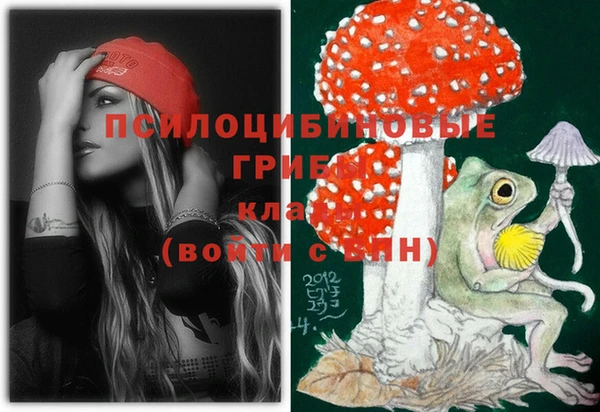 сатива Вязьма