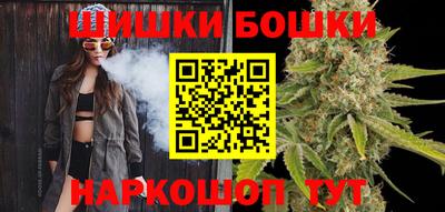 индика Аргун