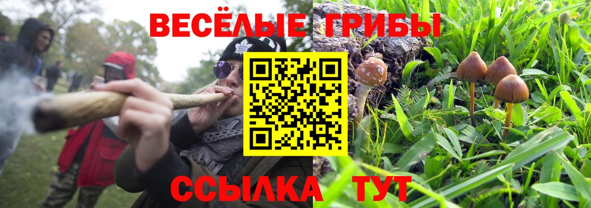 где можно купить   Елец  Галлюциногенные грибы MAGIC MUSHROOMS 